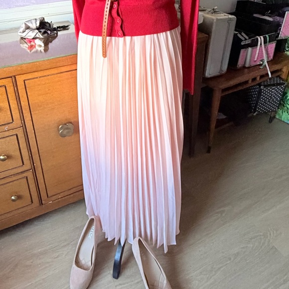 Elegant Pleated Maxi Skirt in Light Pink - Picture 11 of 11
